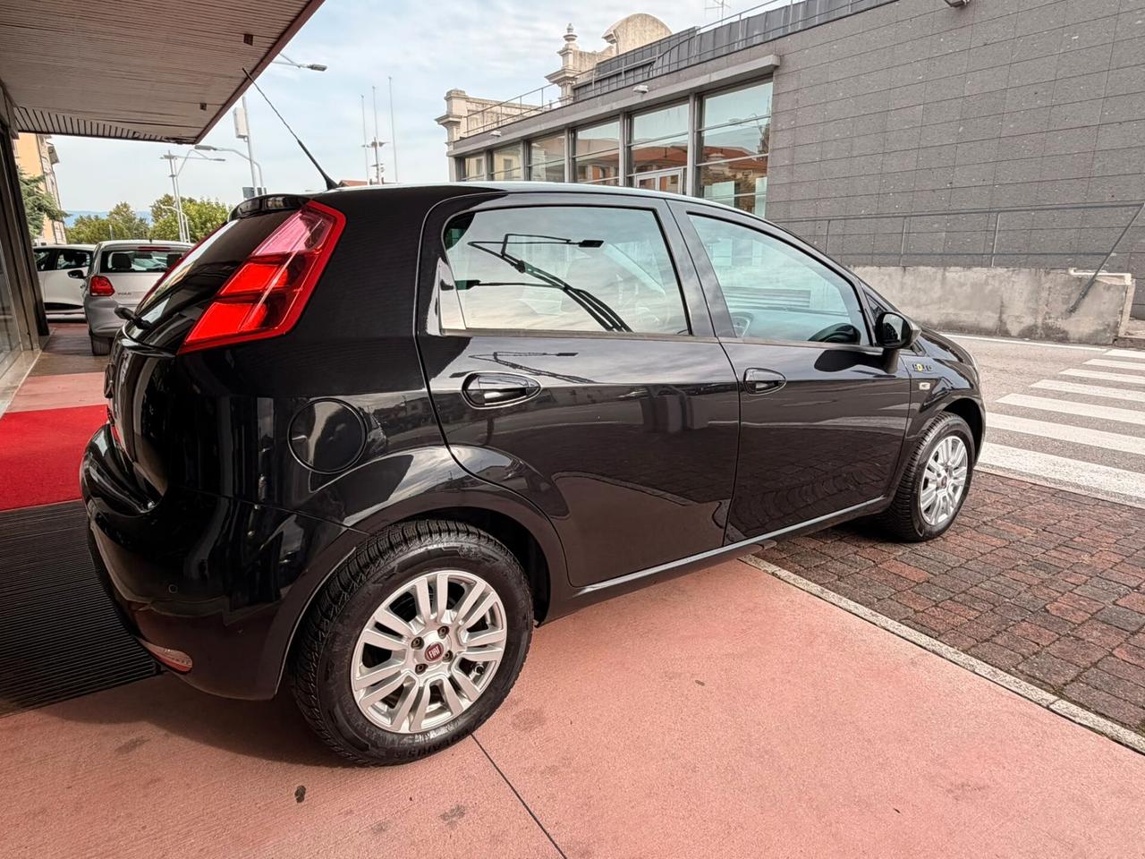Fiat Punto 1.2 8V 5 porte Young