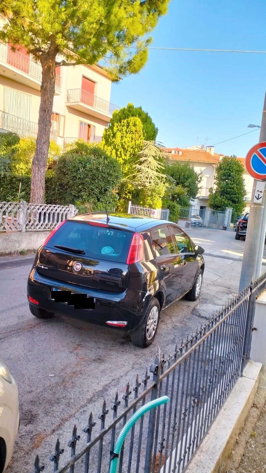 Fiat Punto 1.4 8V 5 porte Natural Power Street