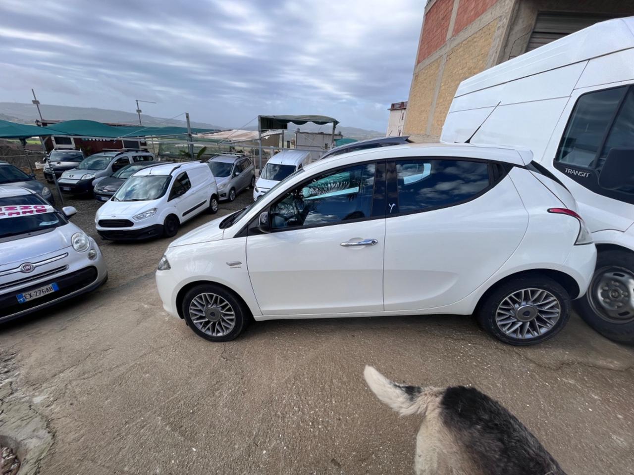 Lancia Ypsilon 1.3 MJT 16V 95 CV 5 porte S&S Silver