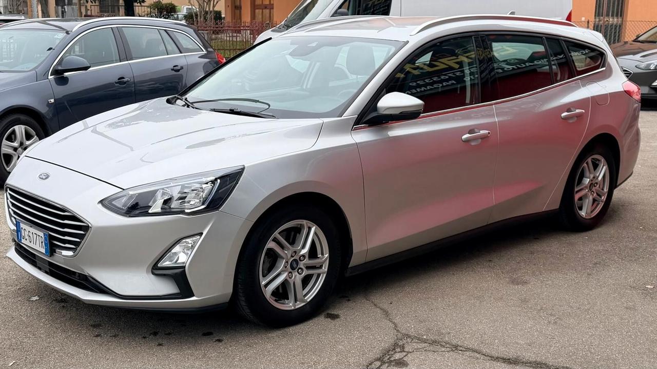 Ford Focus 1.5 EcoBlue 120 CV automatico SW Business Co-Pilot