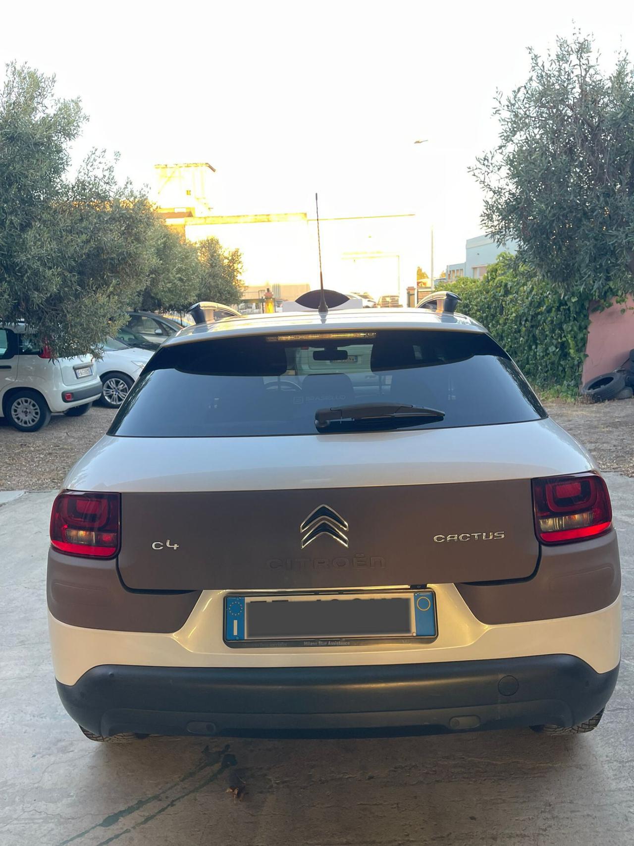 Citroen C4 Cactus BlueHDi 100 S&S Shine