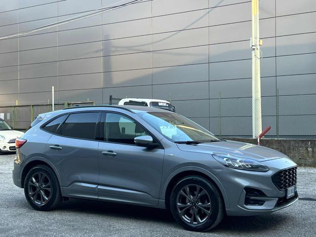 FORD Kuga 1.5 EcoBlue 120 CV aut. 2WD ST-Line X