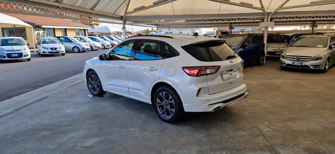 Ford Kuga 1.5 EcoBlue 120cv ST-Line X