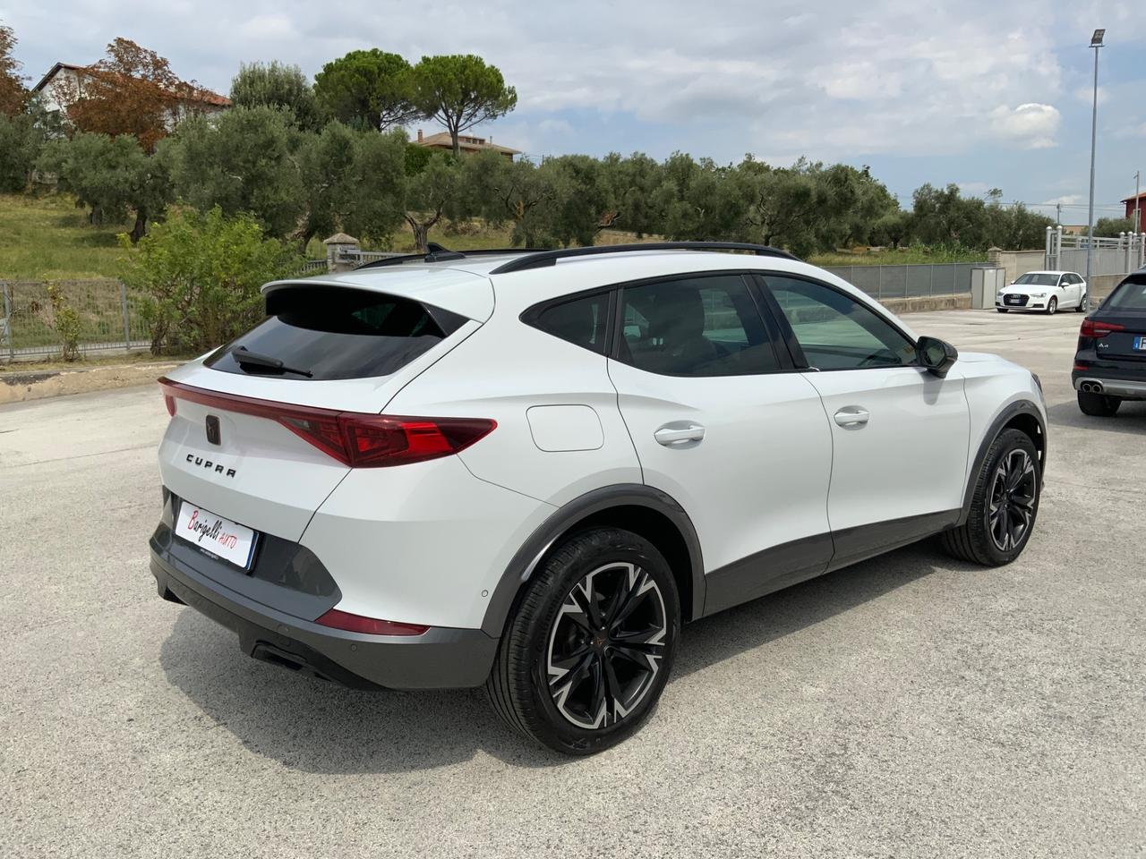 Cupra Formentor 2.0 TDI 4Drive DSG