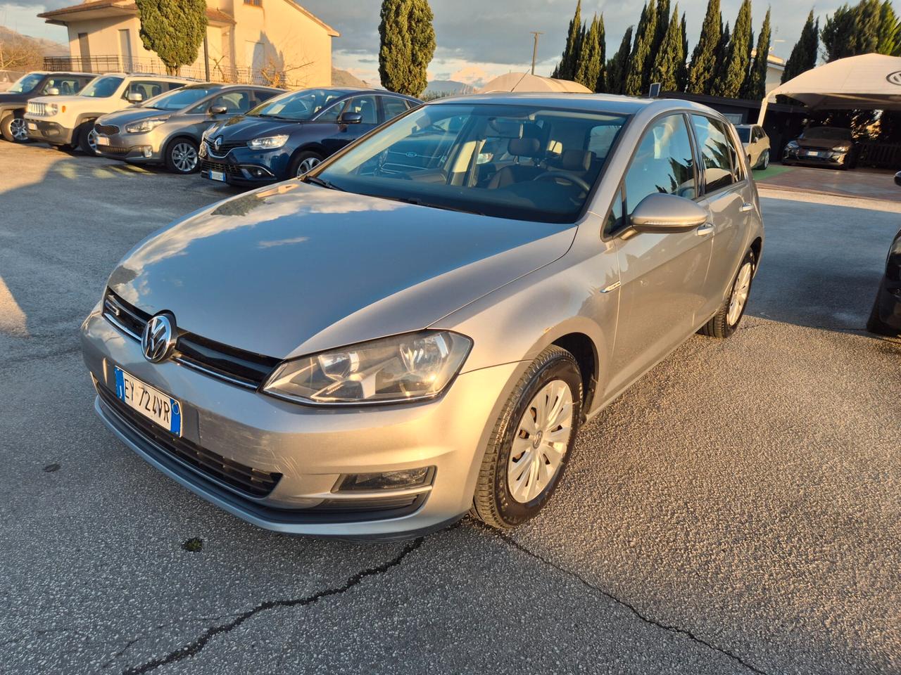 Volkswagen Golf Business 1.4 TGI 5p. Comfortline BlueMotion