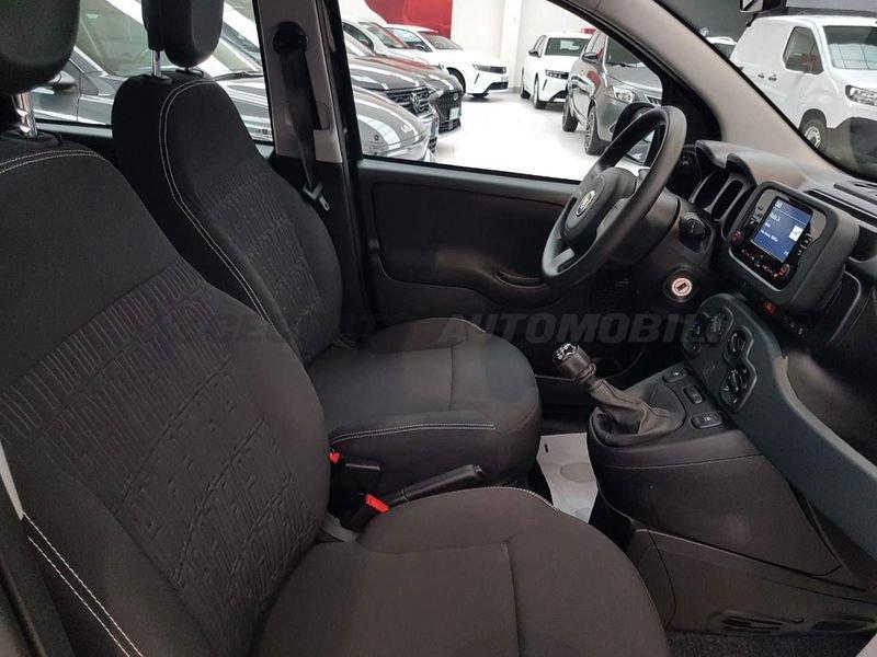 FIAT Panda Panda 1.0 firefly hybrid s&s 70cv