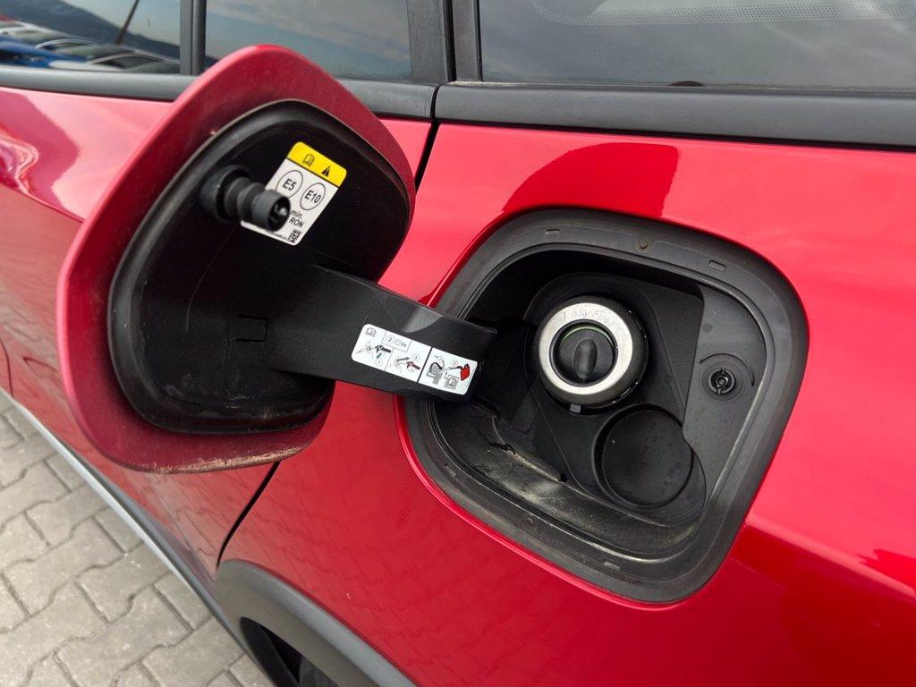 FORD Focus 1.0 EcoBoost Hybrid 125 CV Powershift SW Active X del 2023