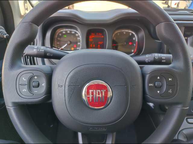 FIAT Panda 1.0 firefly hybrid s&s 70cv