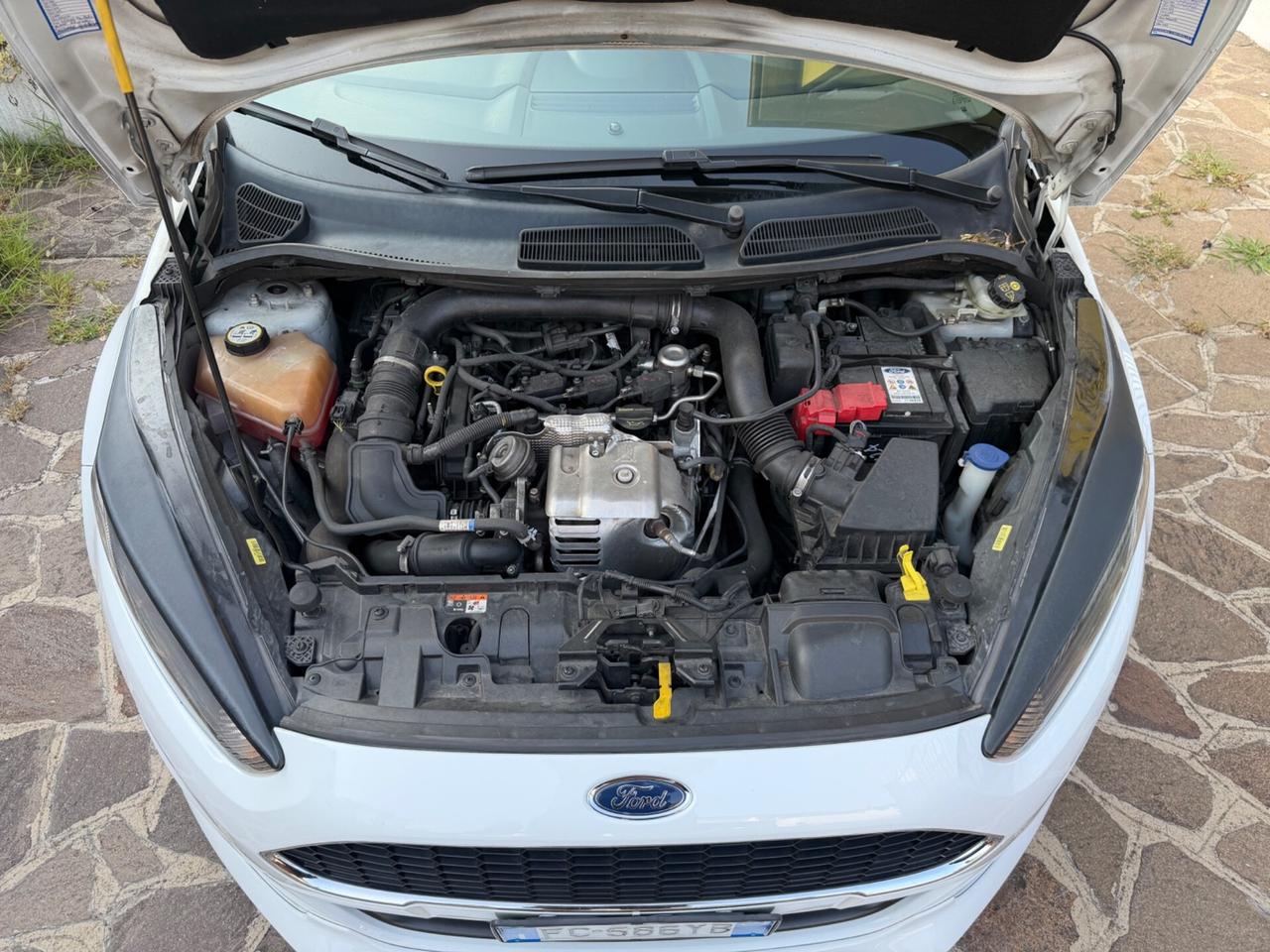 Ford Fiesta 1.4 3 porte Bz.- GPL Black & White Edition