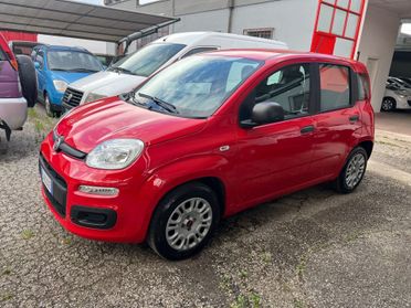 Fiat Panda 1.2 Trussardi ANNO 2020 KM 23600