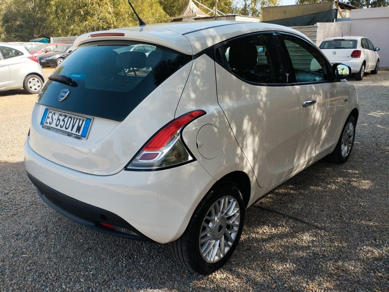 Lancia Ypsilon 1.3 MJT 16V 95 CV 5 porte S&S Platinum