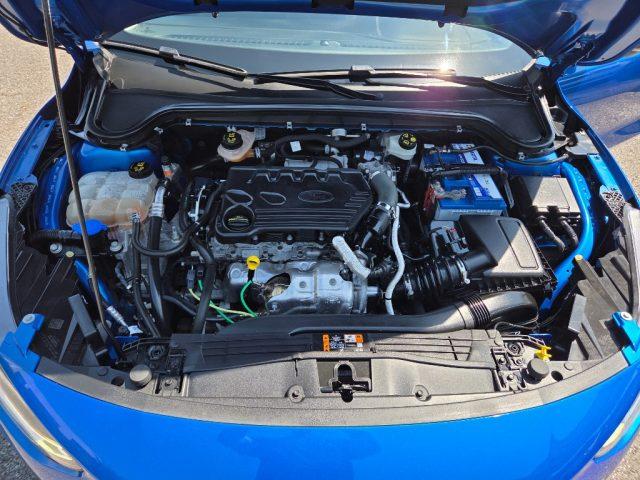 FORD Focus 1.5 EcoBlue 120 CV aut. 5p. Business Black Design