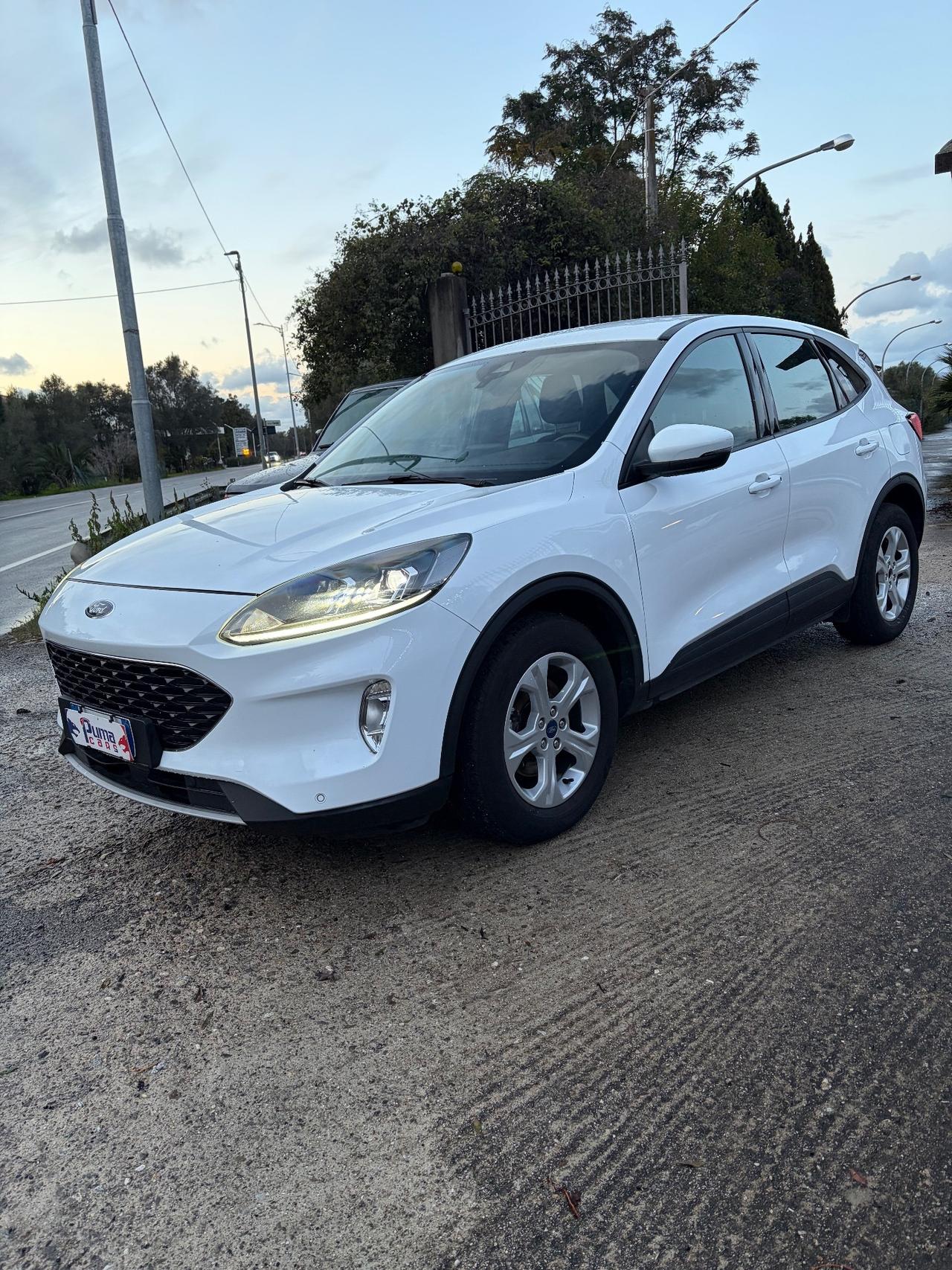 Ford Kuga 1.5 EcoBlue 120 CV aut. 2WD ST-Line X