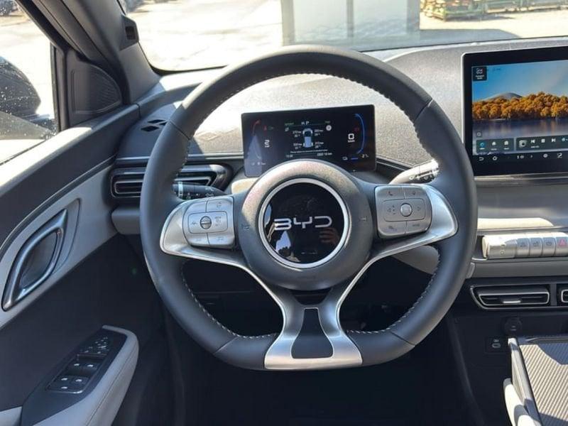 BYD Dolphin Surf Boost