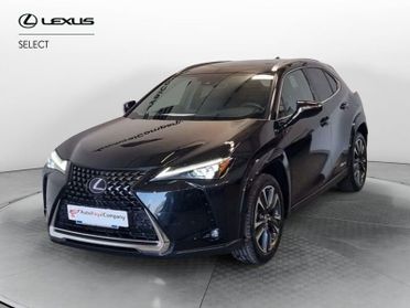 Lexus UX Hybrid 4WD Luxury