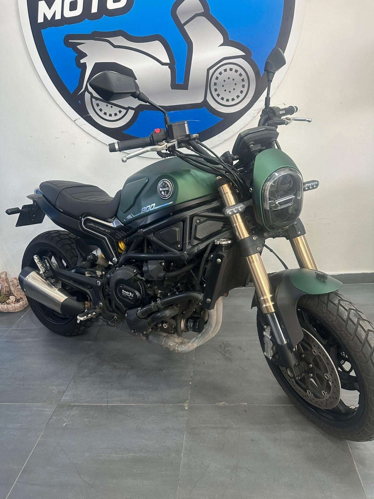BENELLI LEONCINO 800