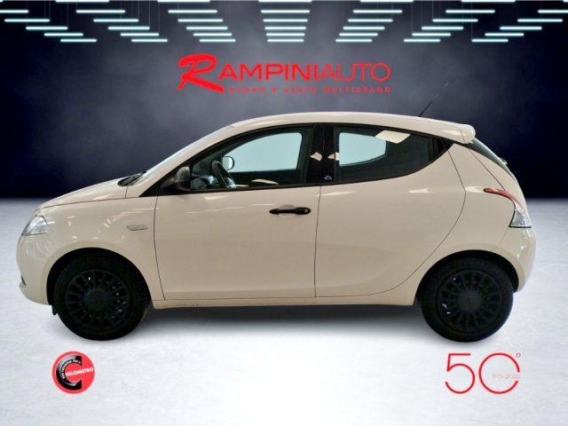 LANCIA Ypsilon 1.2 69 CV 5 porte Elefantino Pronta Consegna