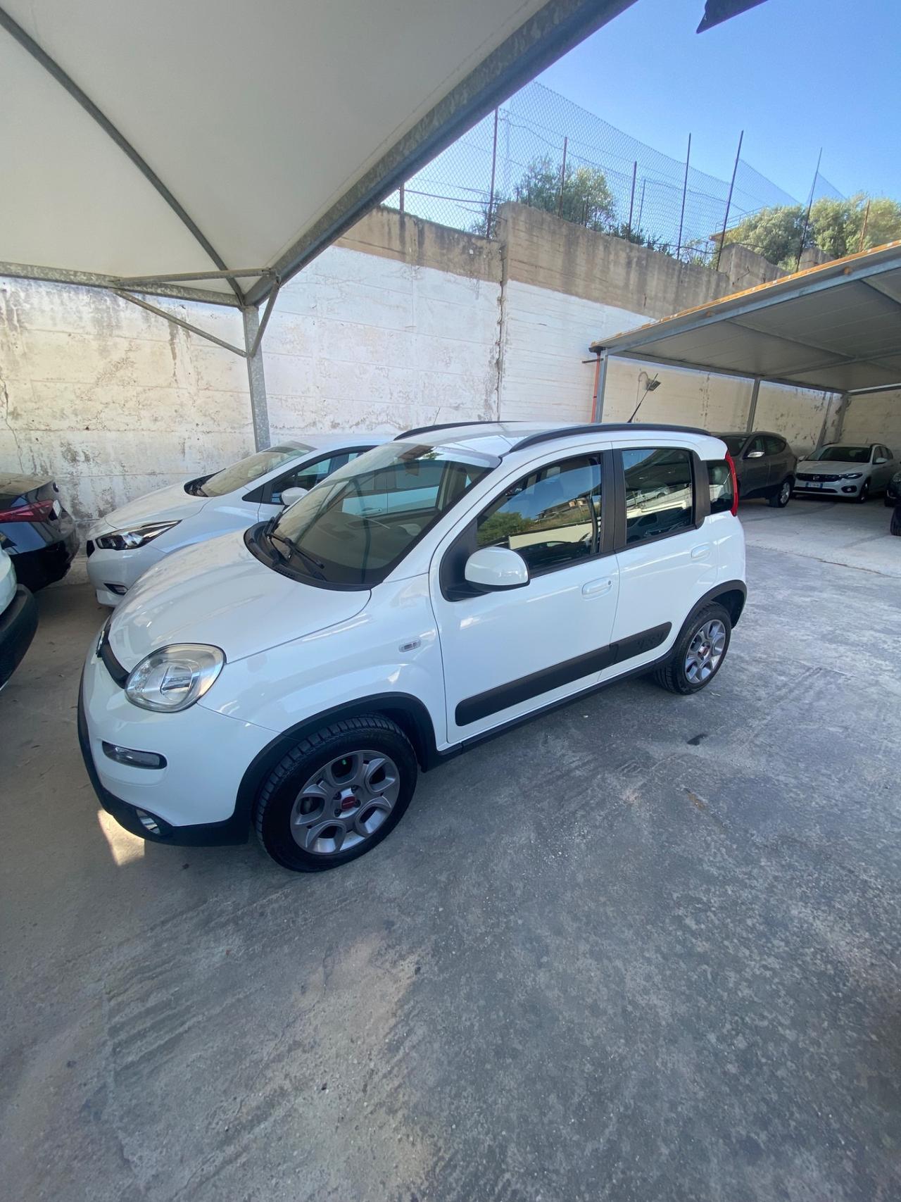 Fiat Panda 1.3 MJT S&S 4x4 Antartica