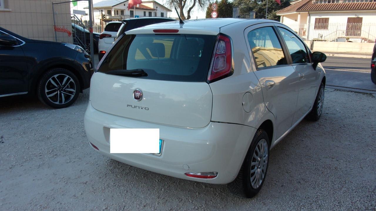 Fiat Punto 1.2 8V 5 porte Street