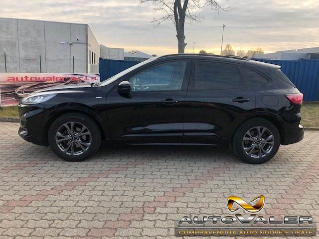 FORD Kuga 1.5 EcoBlue 120 CV Cambio aut. ST-Line