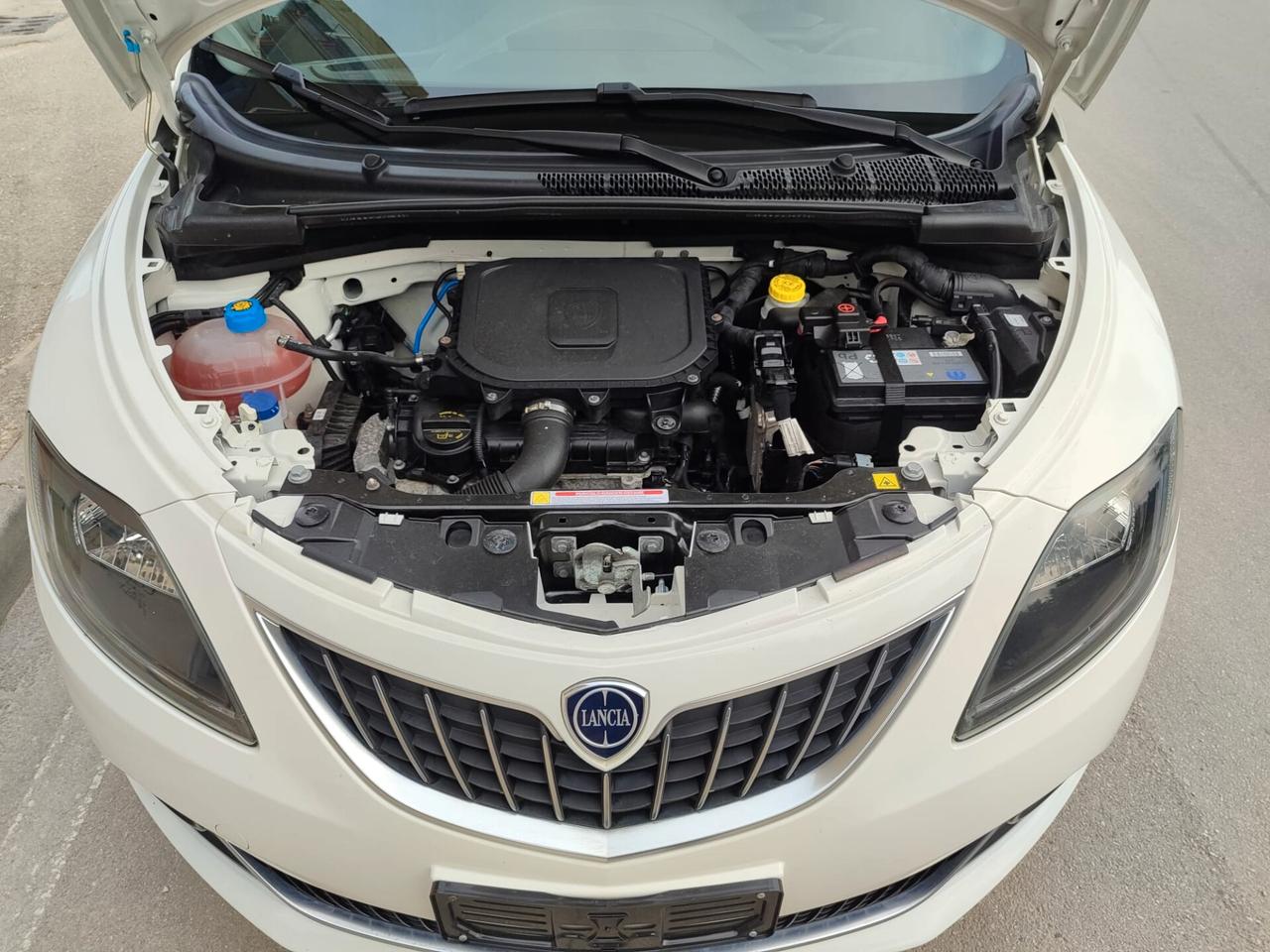 Lancia Ypsilon 1.0 FireFly SILVER 70CV