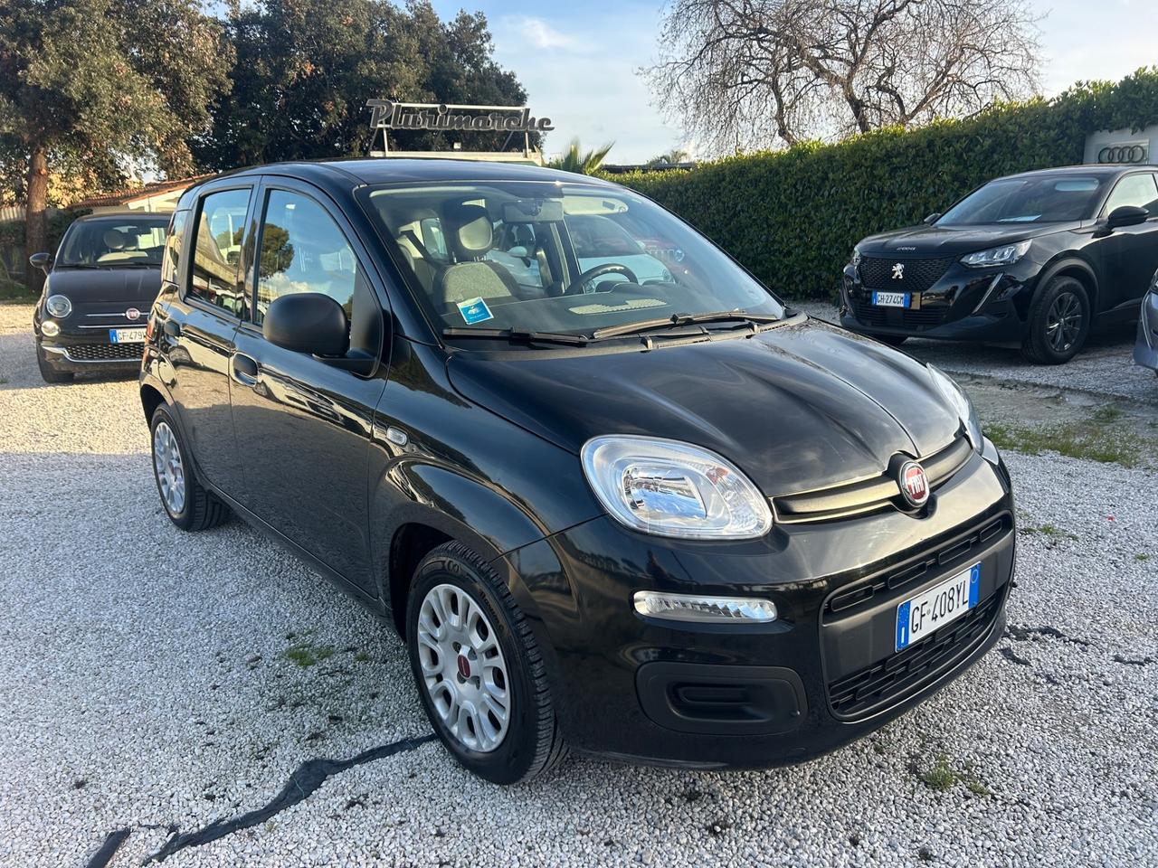 Fiat Panda 1.0 FireFly S&S Hybrid-In Arrivo