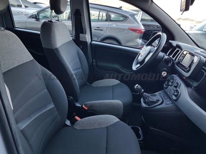 FIAT Panda Panda 1.0 firefly hybrid City Life s&s 70cv 5p.ti