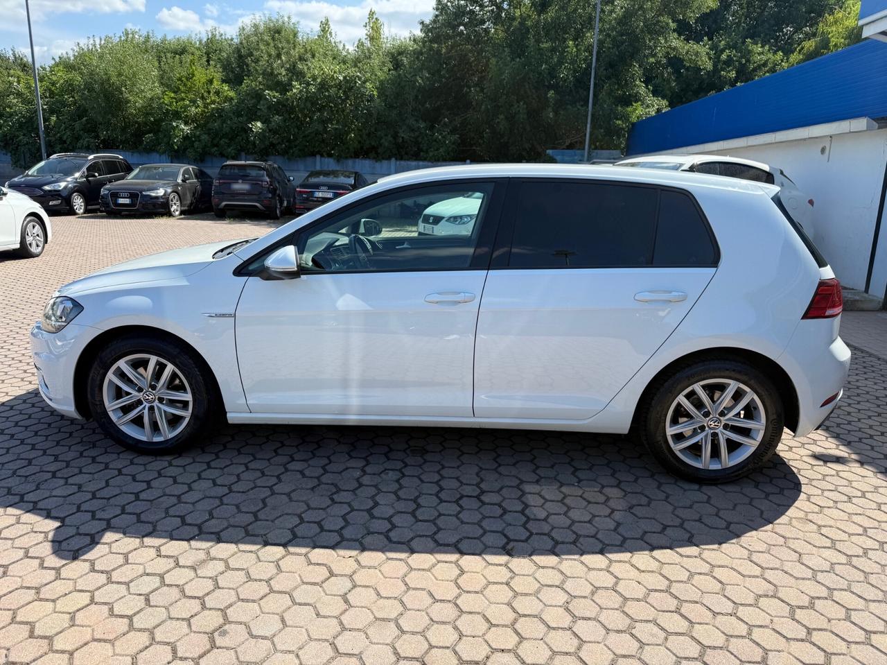Volkswagen Golf 1.5 TGI DSG 5p. Business BlueMotion Technology
