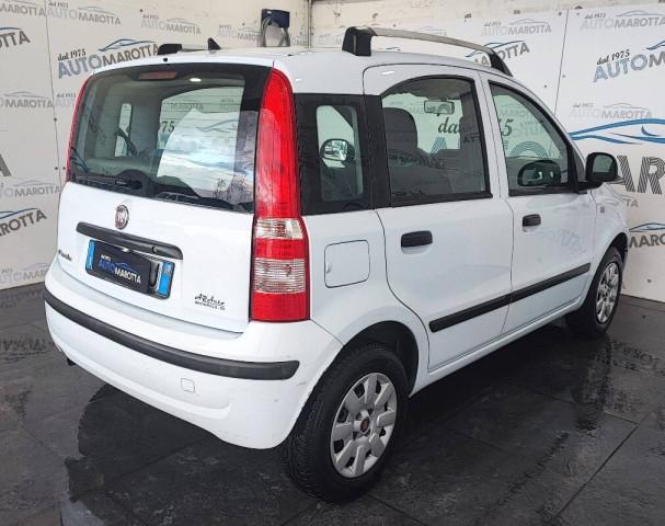 Fiat Panda 1.2 Dynamic Gpl NEOPATENTATI!