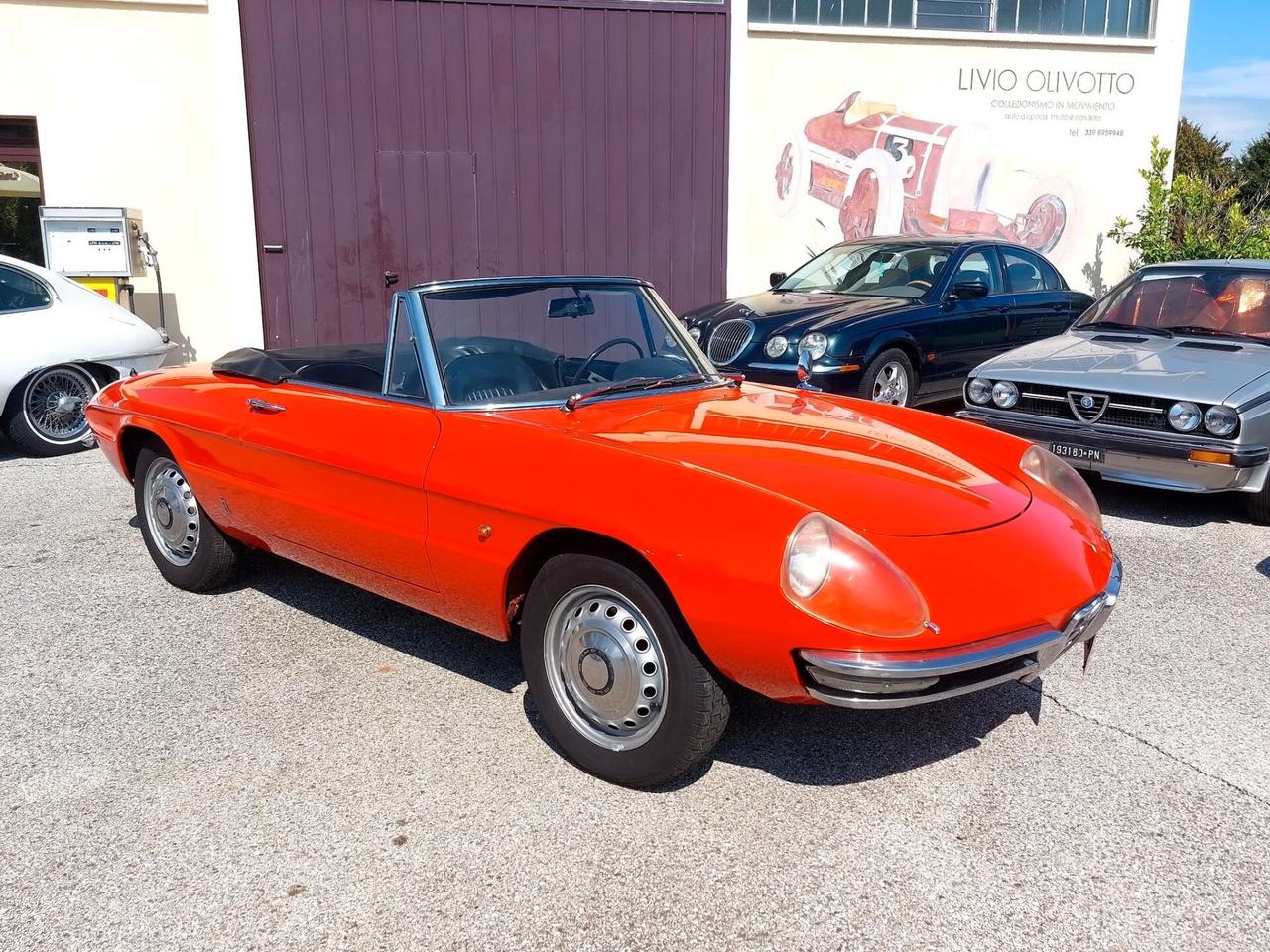 Alfa Romeo Spider Duetto 1600 Osso di Seppia del 1966