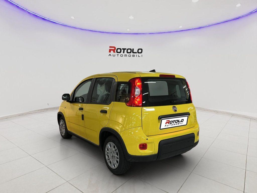 FIAT Panda 3ª serie Panda 1.0 FireFly S&S Hybr...