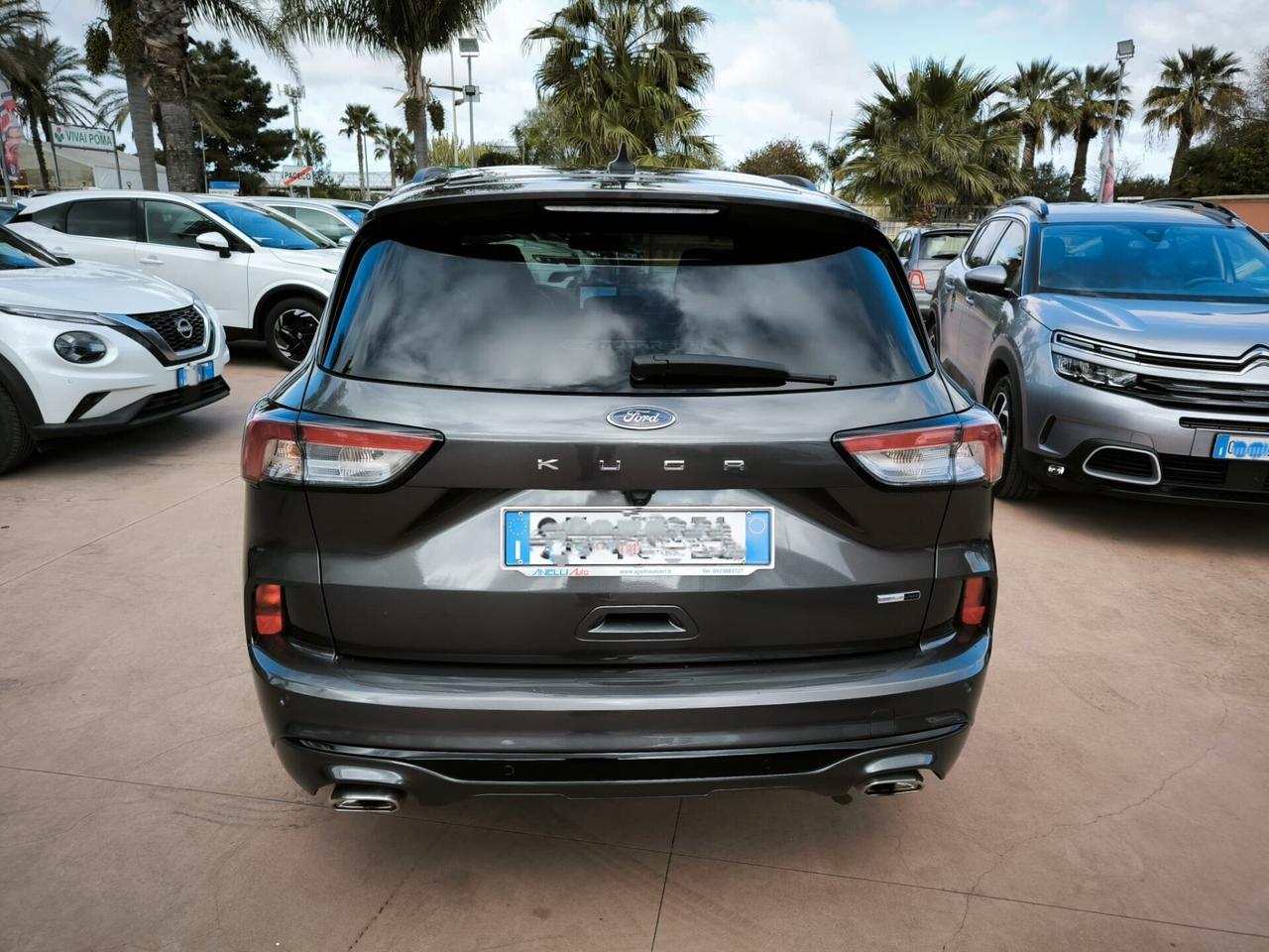 Ford Kuga 2.0 EcoBlue Hybrid 150 CV 2WD ST-Line
