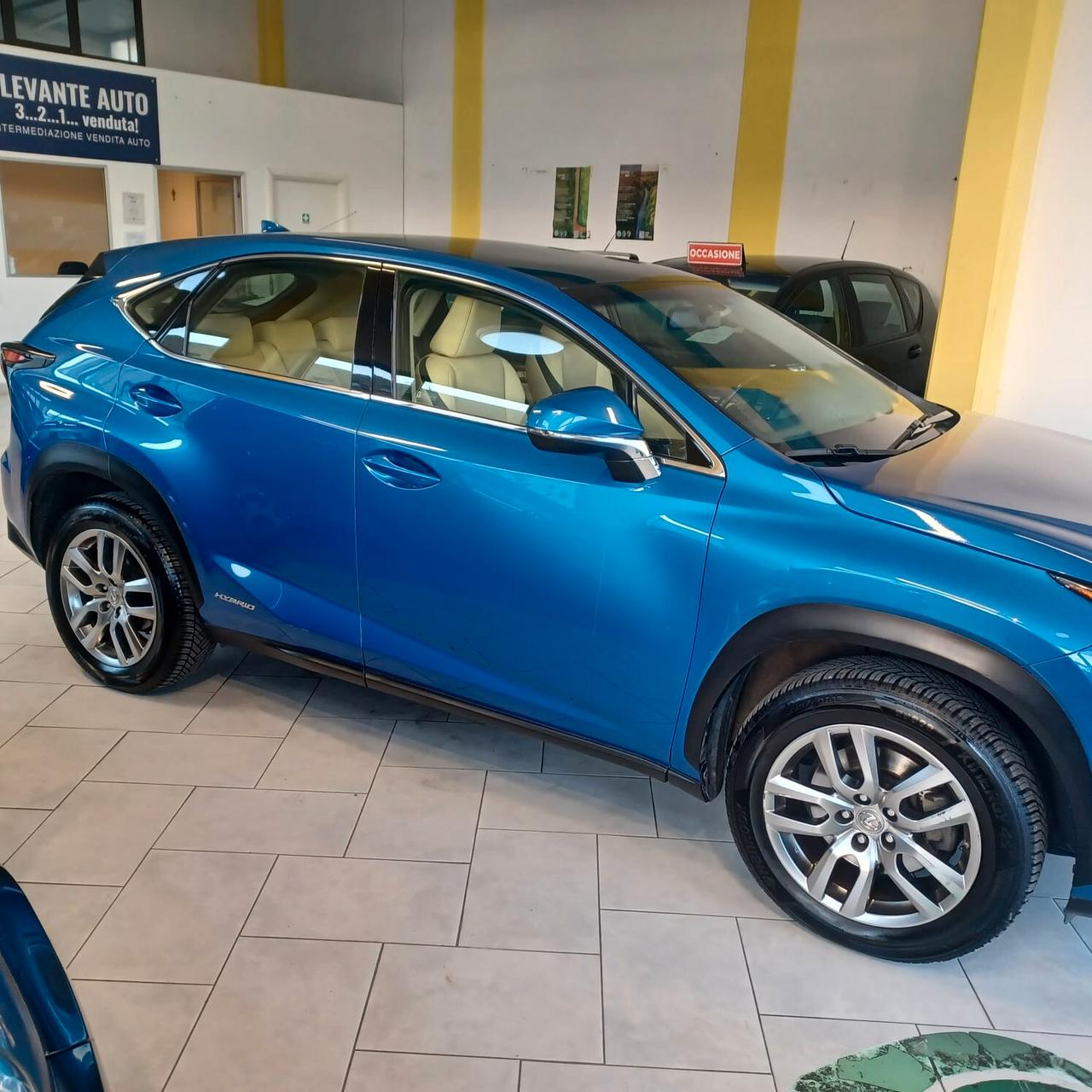 COME NUOVA Lexus NX 300h NX Hybrid 4WD Executive