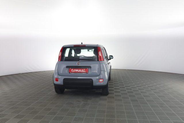 FIAT Panda Panda 1.0 FireFly Hybrid City Life