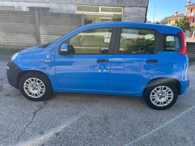 FIAT Panda 1.2 Pandazzurri NEOPATENTATI