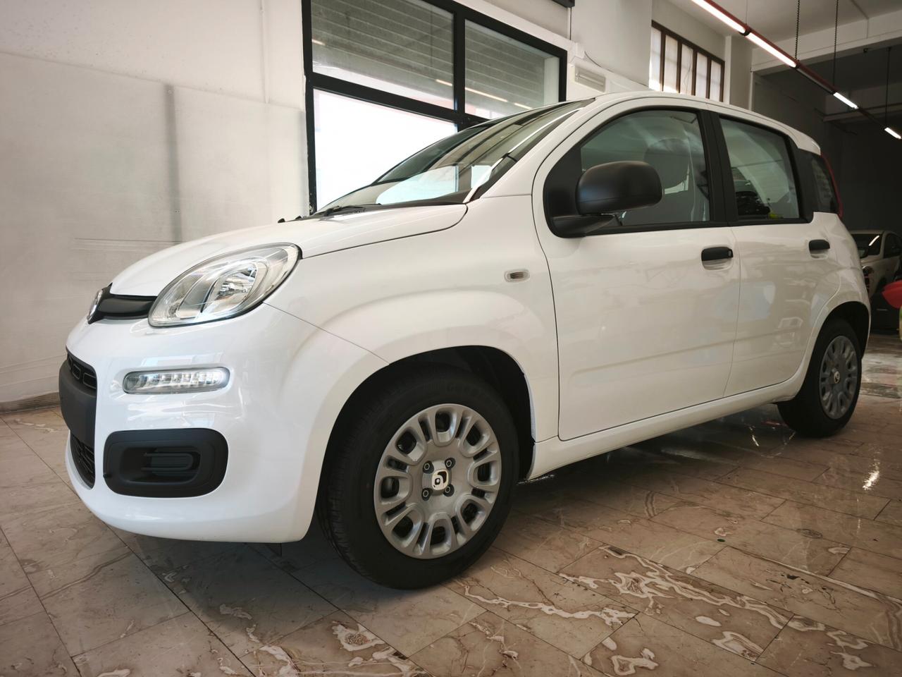 Fiat Panda Pandina 1.0 FireFly 65 CV Hybrid Icon