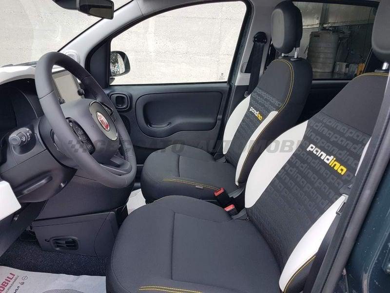 FIAT Panda Panda My25 1.0 70cv Hybrid Pandina