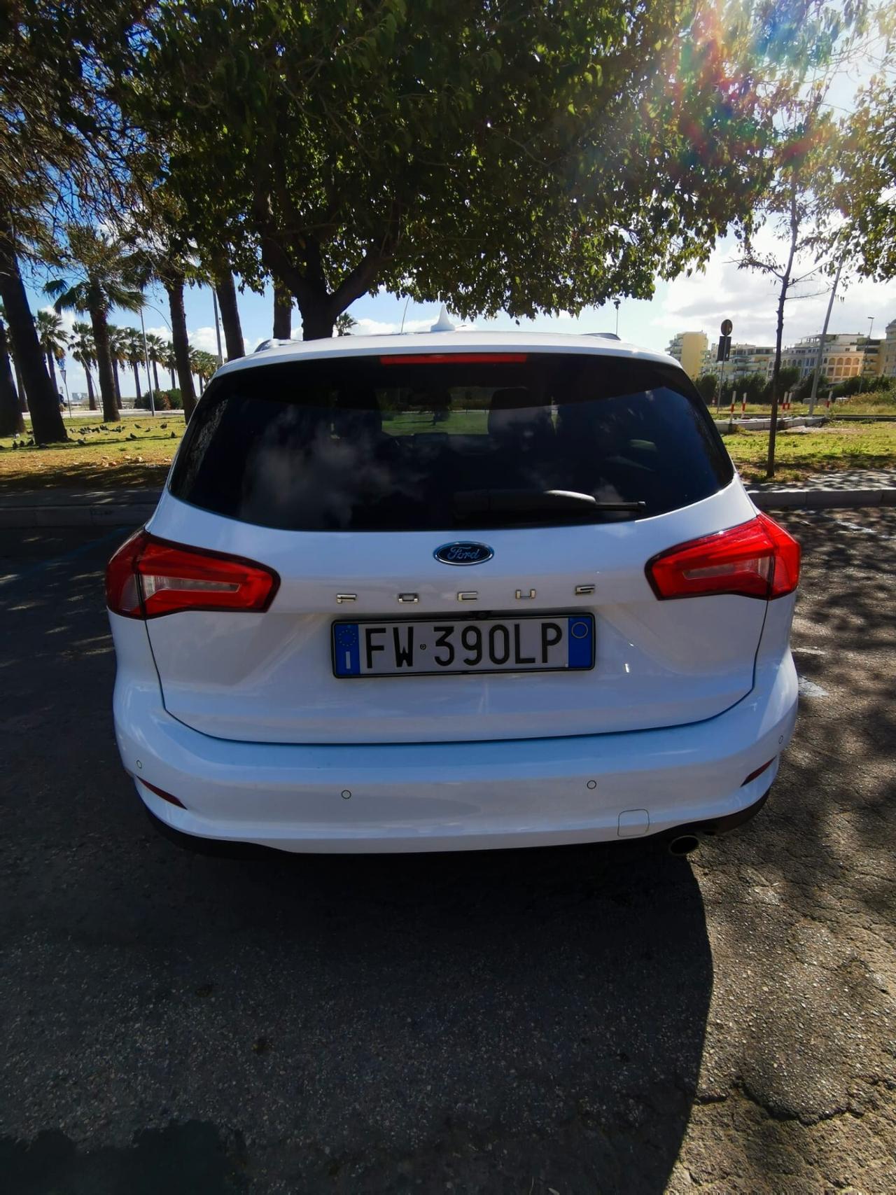 Ford Focus 1.5 EcoBlue 120 CV SW Business 2019