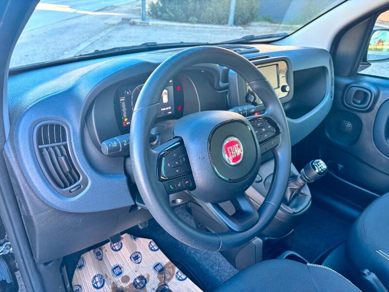 FIAT Panda 3ª serie Panda 1.0 FireFly S&S Hybrid