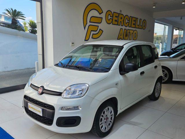 FIAT Panda 1.0 FireFly S&S Hybrid da ?119,00 mensili