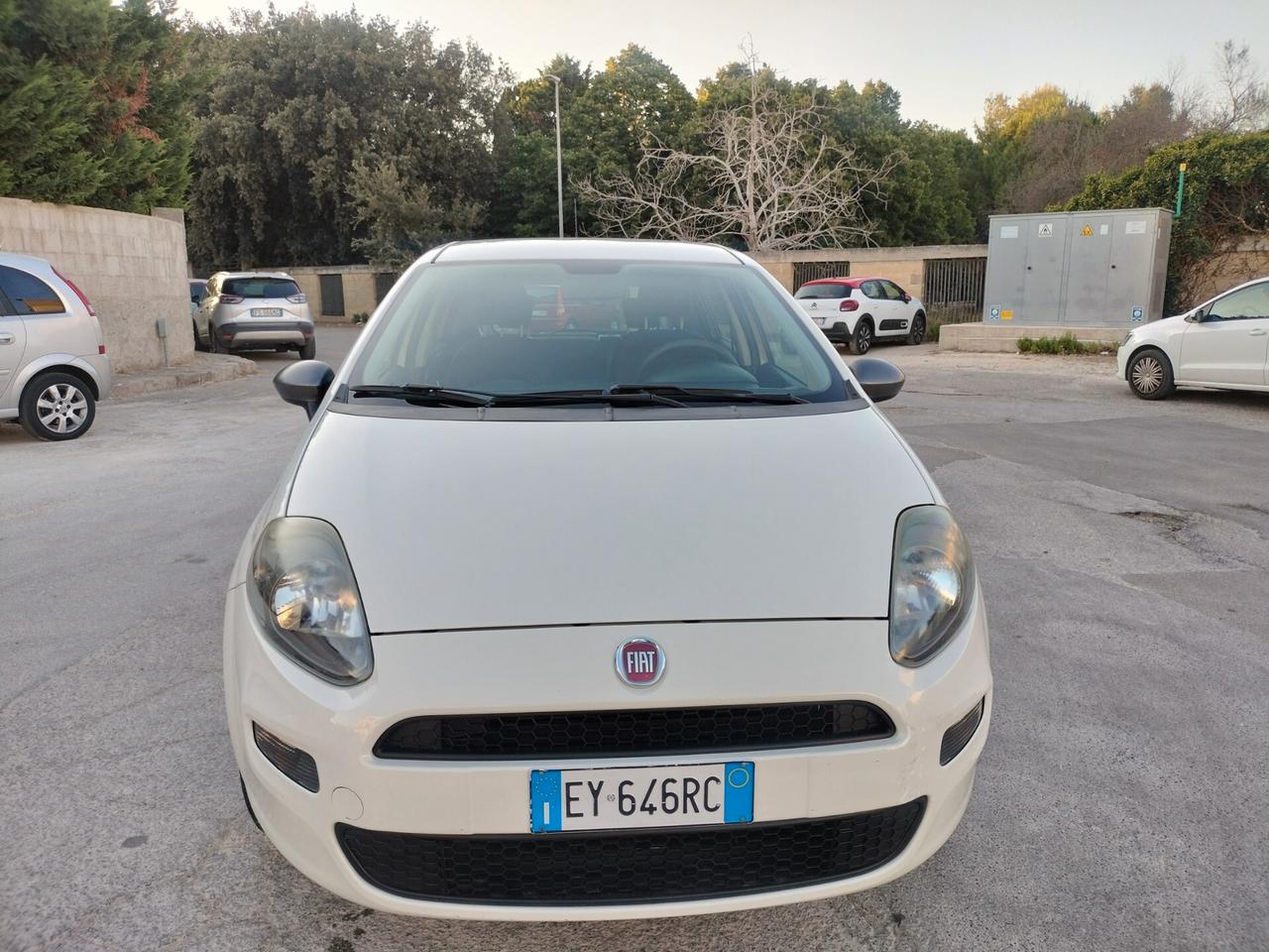Fiat Punto 1.4 8V 5 porte Natural Power Young