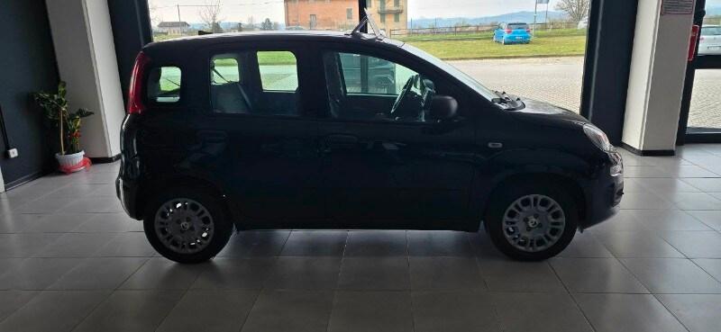 FIAT Panda 3ª serie Panda 1.0 FireFly S&S Hybr...