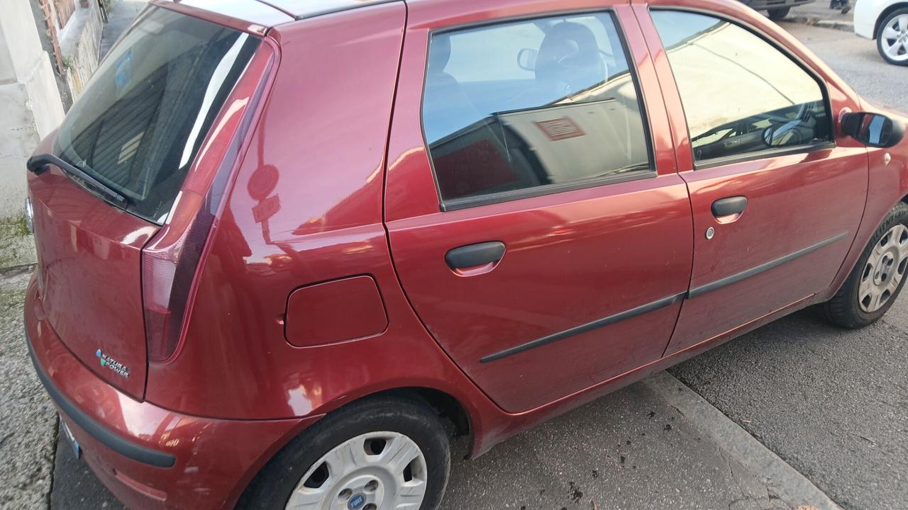 Fiat Punto 1.2 5 porte Active Natural Power