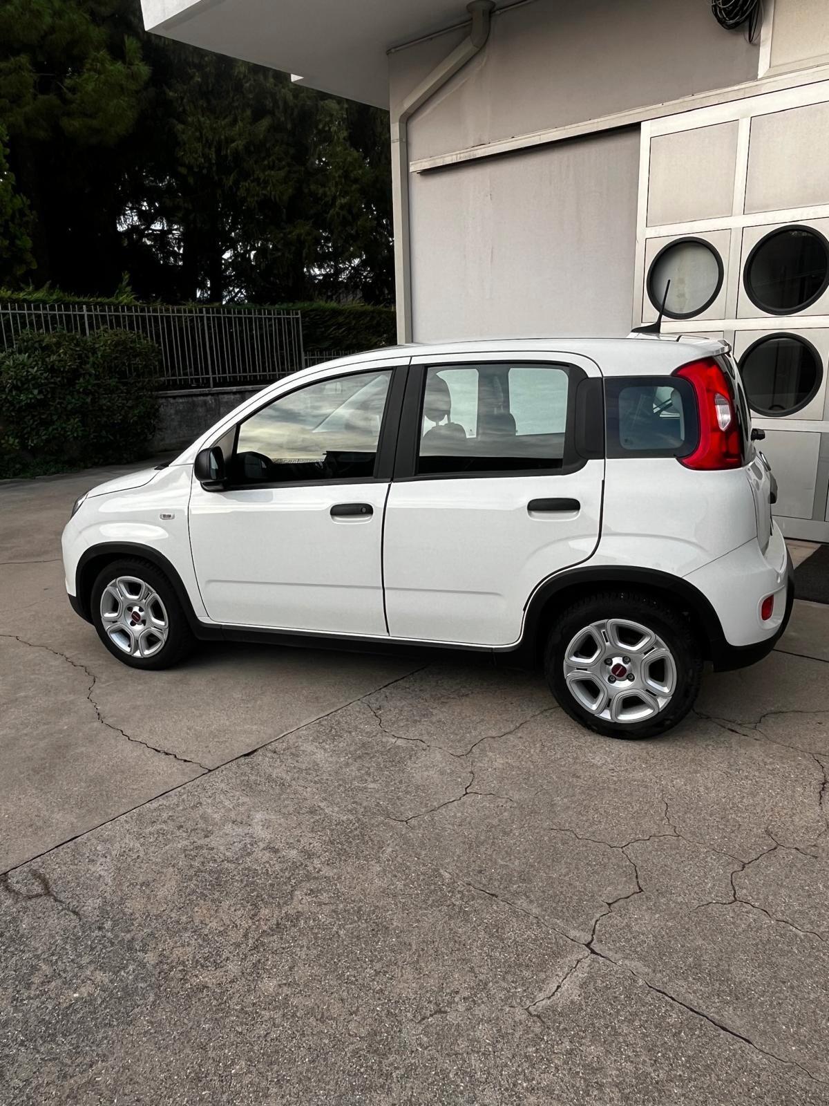 Fiat Panda 1.0 FireFly S&S Hybrid PREZZO REALE NO VINCOLI