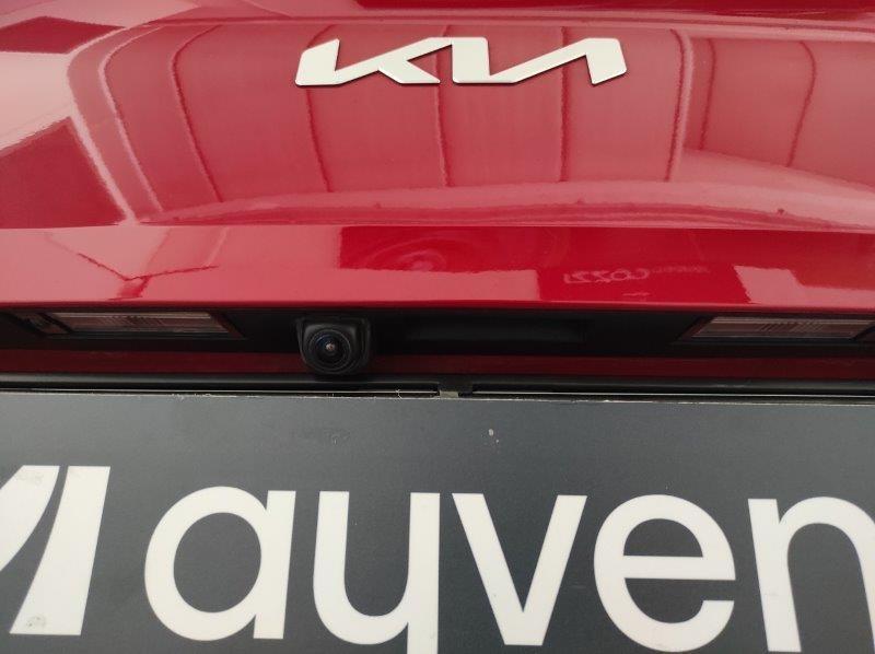 KIA Ceed - Ceed 1.6 CRDi 136 CV MHEV SW Business