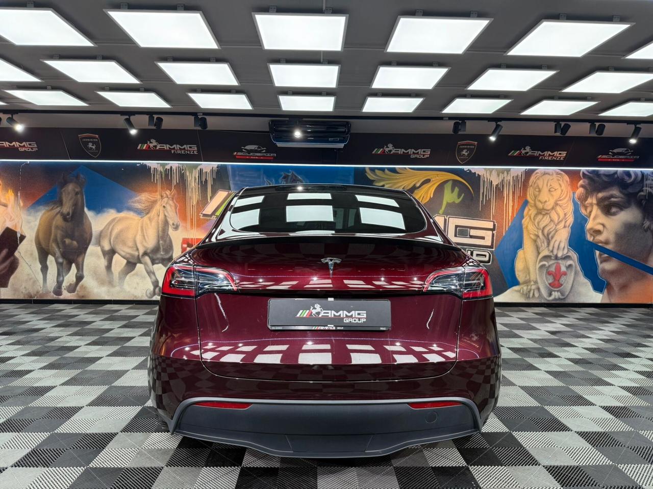 Tesla Model Y AWD Performance (423)