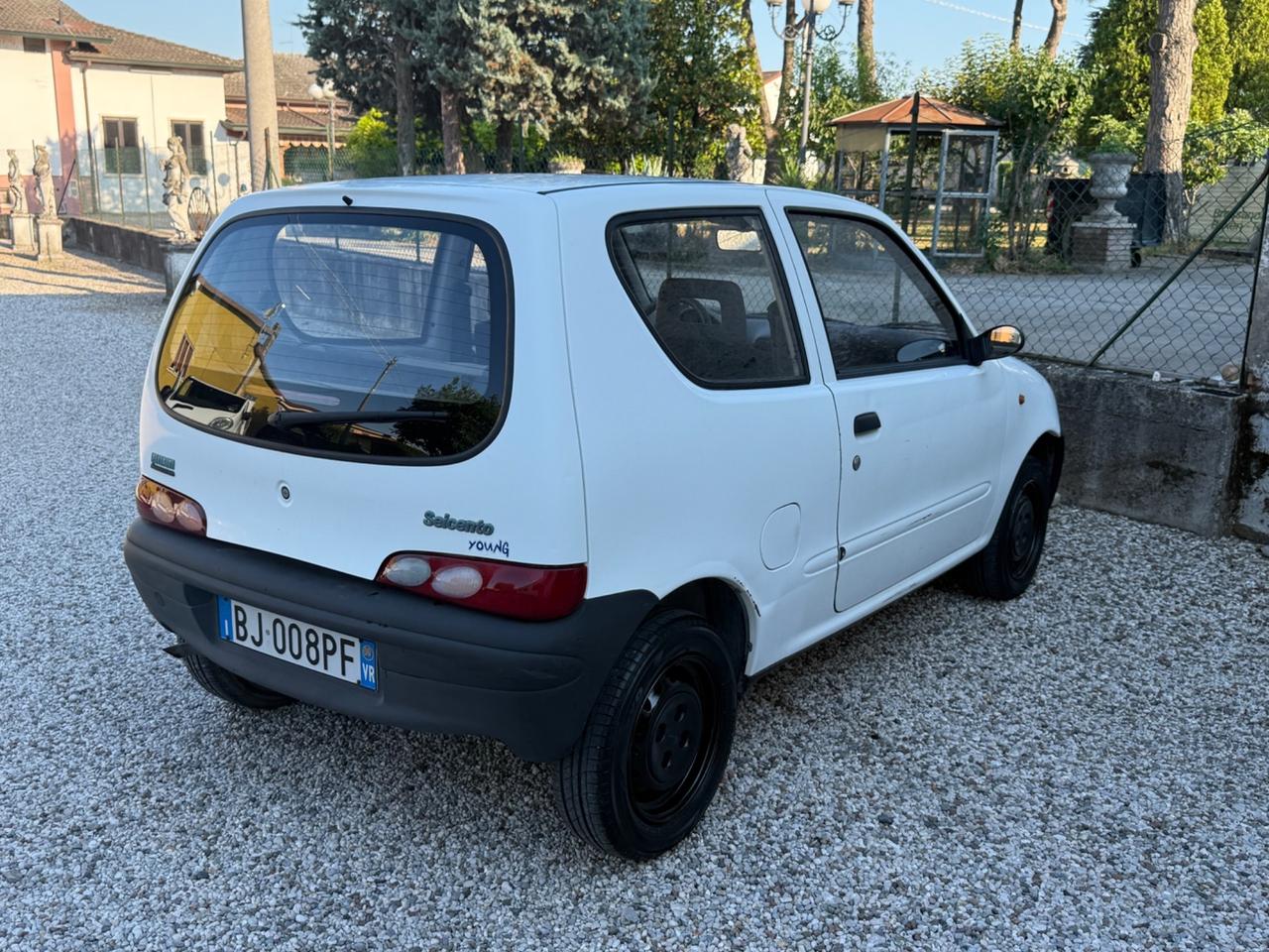 Fiat Seicento 900i cat Young