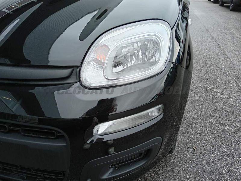 FIAT Panda Panda 1.0 firefly hybrid s&s 70cv