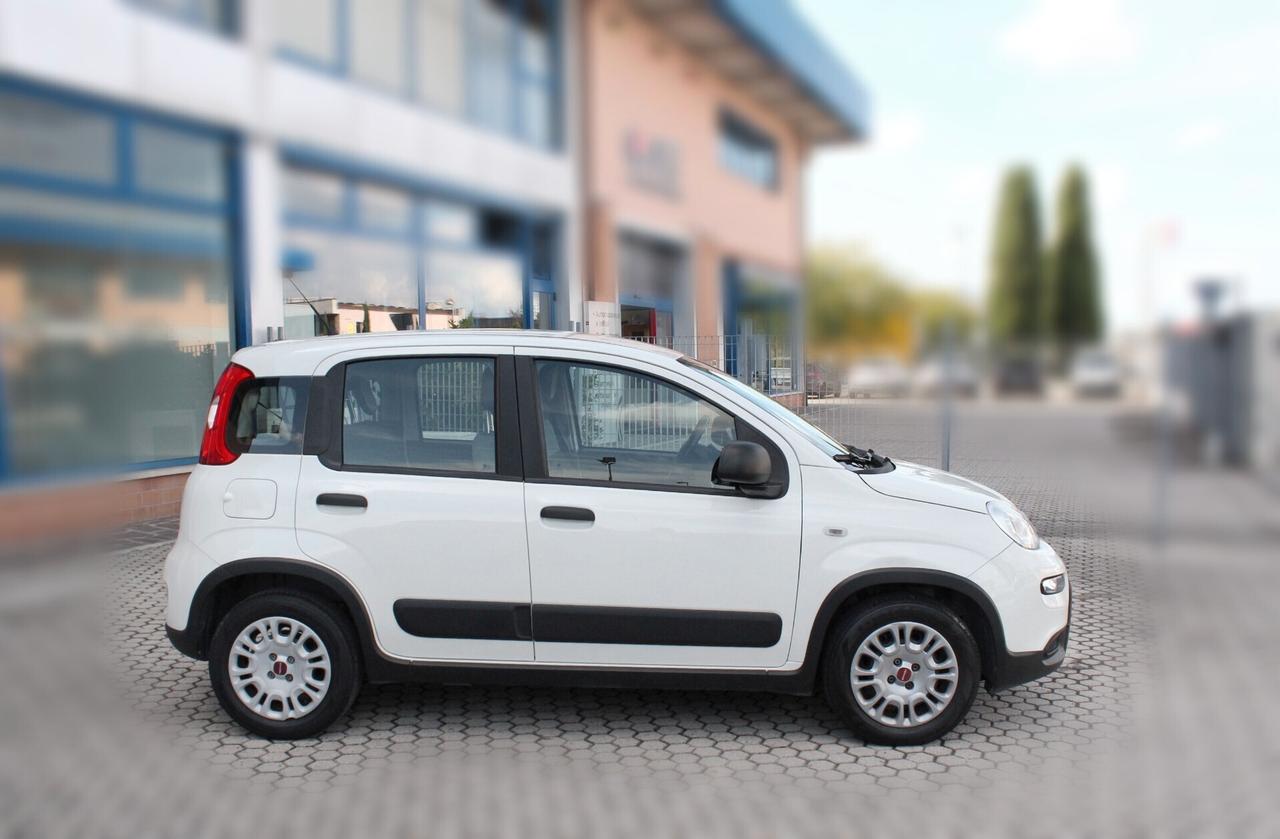 Fiat Panda 1.0 Hybrid Van 4 posti