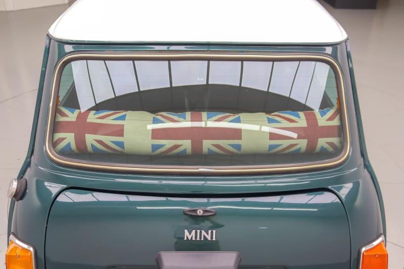 ROVER MINI 1.3 CAT ITALIAN JOB